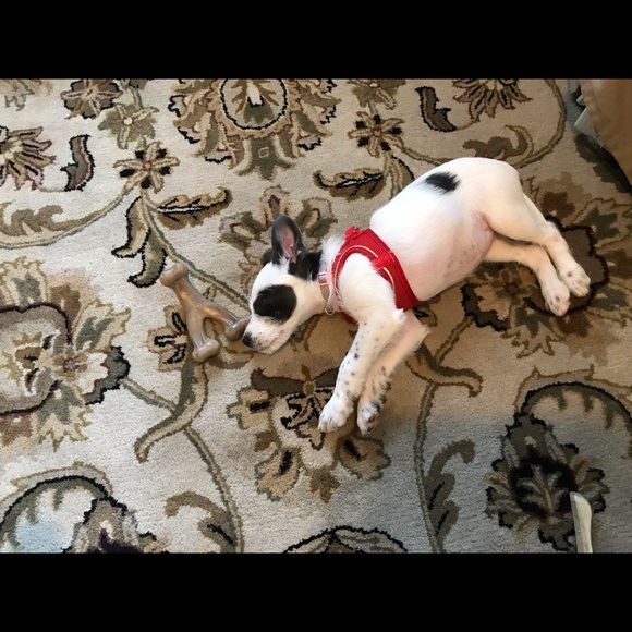 Meet your Posher, Tracy - Picture 1 of 1